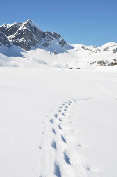 Voetstappen in de sneeuw. Melchsee-frutt, Zwitserland — Stockfoto
