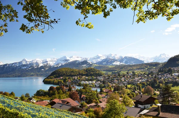 Spiez, İsviçre — Stok fotoğraf