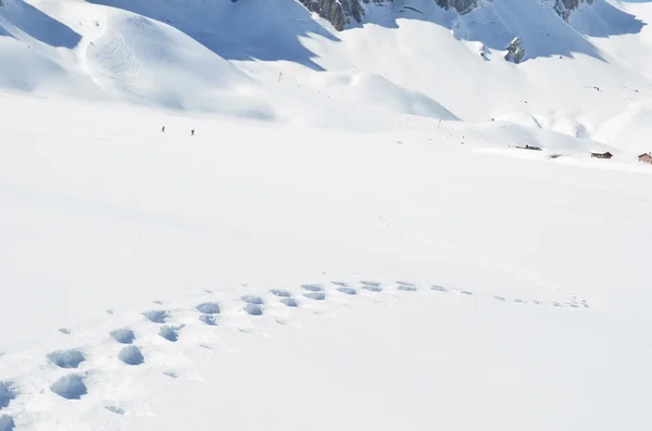 在雪地上的脚步声。melchsee-frutt 瑞士 — 图库照片