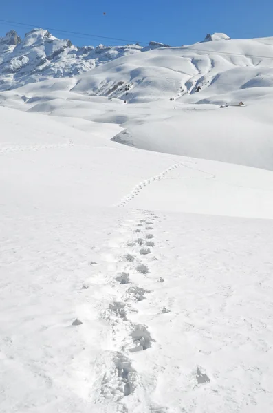 Impronte sulla neve. Svizzera — Foto Stock