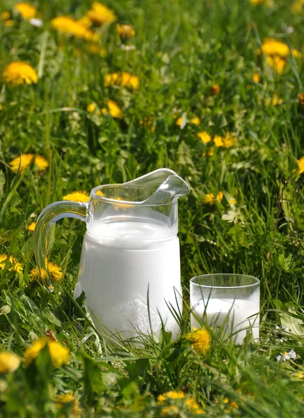 Tasse de lait sur la prairie — Photo