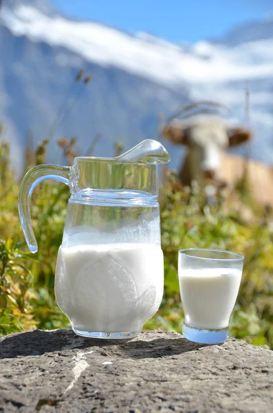 Milchkrug gegen Kuhherde. Jungfrau Region, Schweiz — Stockfoto