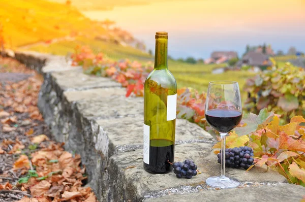 Trauben im Glas — Stockfoto