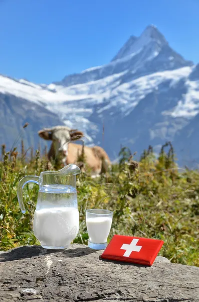 Chocolate suíço e jarro de leite no prado alpino. Switzerlan. — Fotografia de Stock