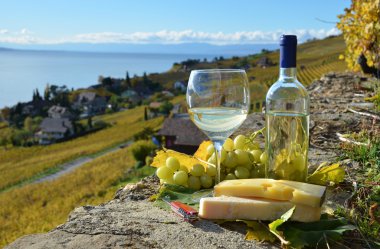 şarap ve üzüm. Lavaux bölge, İsviçre
