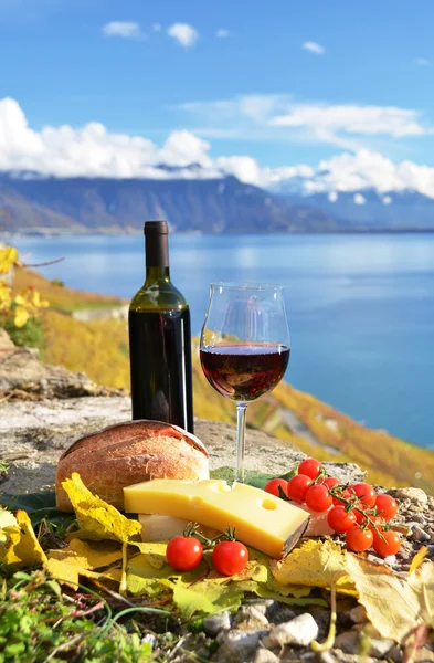 Červené víno, sýry, chléb a cherry rajčat — Stock fotografie