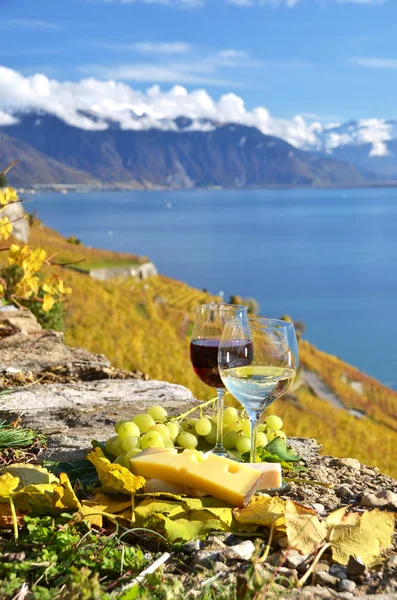 Два бокала, сыр и виноград на террасе виноградника — стоковое фото