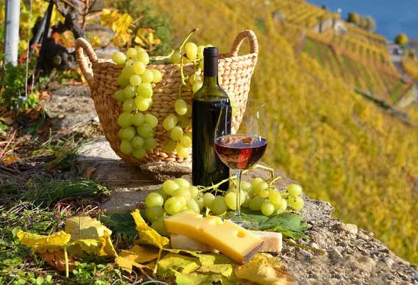 Vinho tinto e uvas no terraço da vinha — Fotografia de Stock