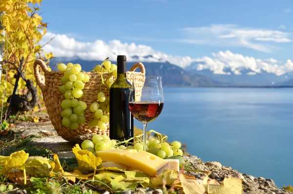 Vinho tinto e uvas no terraço da vinha — Fotografia de Stock