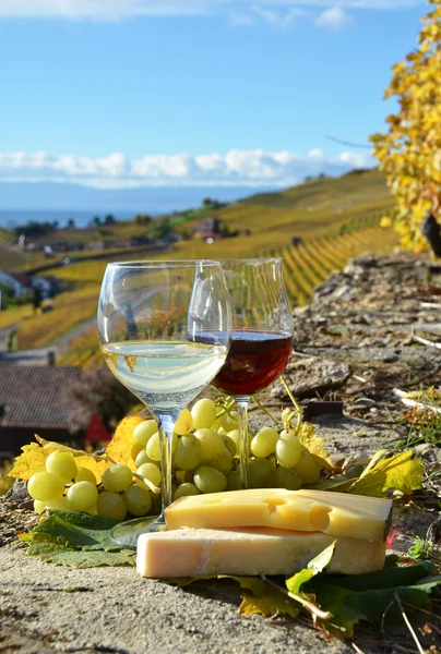 Dwa kieliszki, ser i winogron na tarasie winnicy — Zdjęcie stockowe