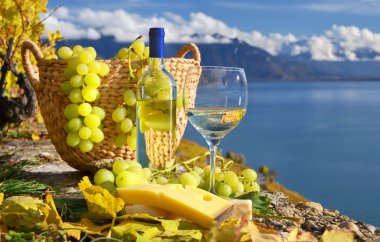 beyaz şarap ve üzüm sepeti. Lavaux bölge, İsviçre