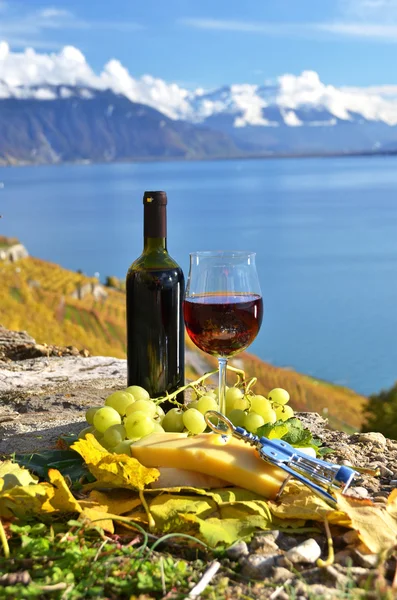 Red wine, cheese and grapes on the terrace of vineyard — Stock Photo, Image