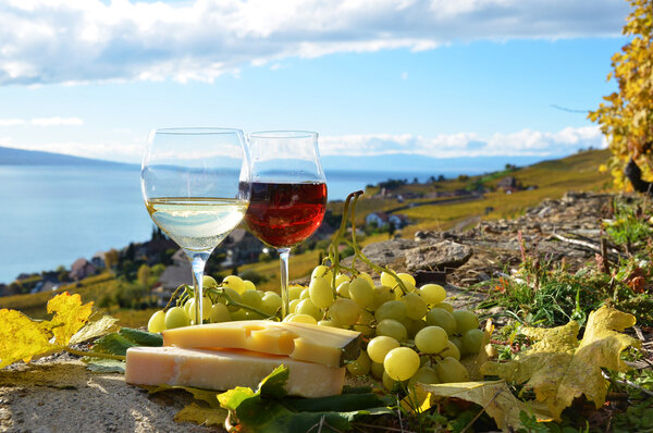 Two wineglasses, cheese and grapes on the terrace of vineyard