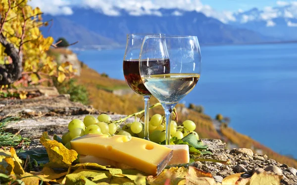 Deux verres à vin, fromage et raisin sur la terrasse du vignoble — Photo