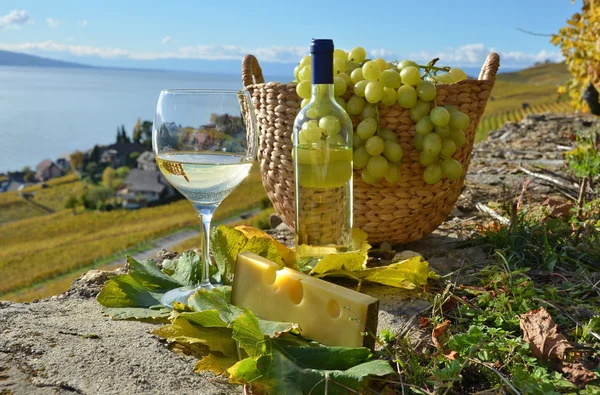 White wine and basket of grapes on the terrace vineyards — Stock Photo, Image