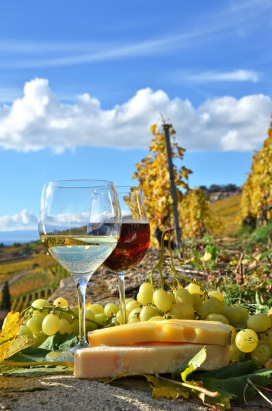 Два бокала, сыр и виноград на террасе виноградника
