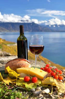 kırmızı şarap, peynir, ekmek ve kiraz domates. Lavaux, İsviçre