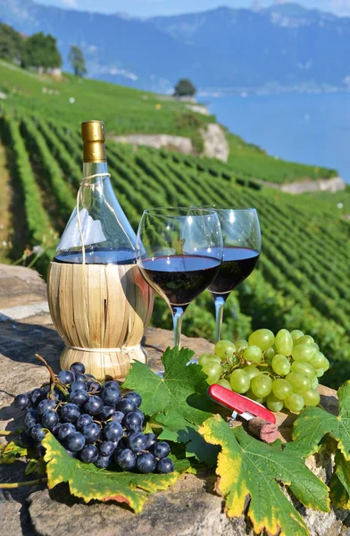 Rode wijn en druiven — Stockfoto