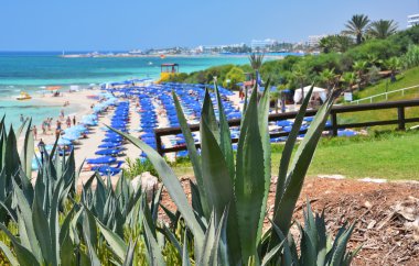 plaj ayia Napa, Kıbrıs