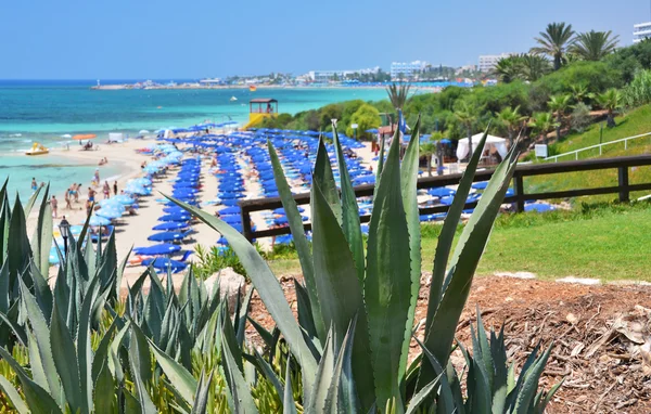 Playa en Ayia Napa, Chipre — Foto de Stock