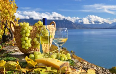 beyaz şarap ve üzüm sepeti. Lavaux bölge, İsviçre