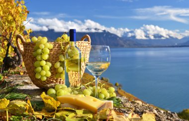 White wine and basket of grapes. Lavaux region, Switzerland