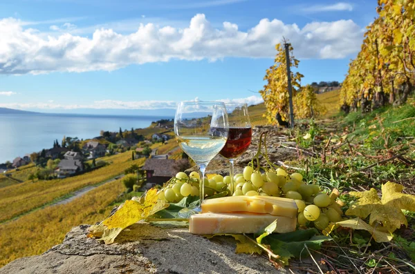 Dua gelas anggur, keju dan anggur di teras kebun anggur — Stok Foto