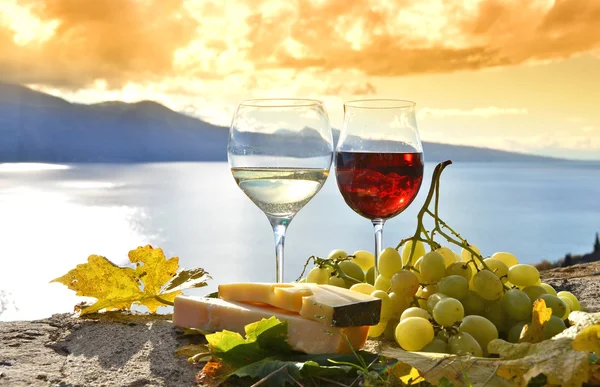 Два бокала и виноград на террасе виноградника — стоковое фото