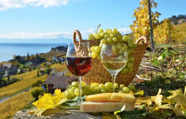 şarap ve üzüm bağ Teras