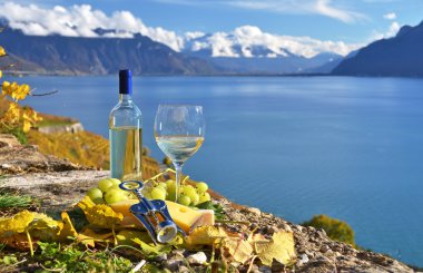 beyaz şarap ve üzüm sepeti. Lavaux bölge, İsviçre