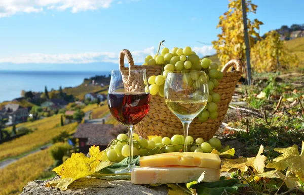 Vino y uvas en la terraza del viñedo — Foto de Stock