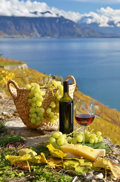 Rött vin och druvor på terrassen i vingården — Stockfoto