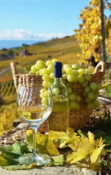 Wijnglas en mand van druiven. Lavaux-gebied, Zwitserland — Stockfoto