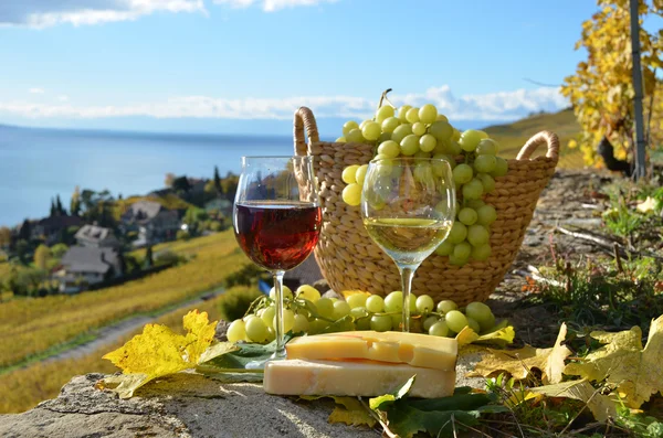 Due bicchieri da vino, formaggio e uva sulla terrazza del vigneto — Foto Stock