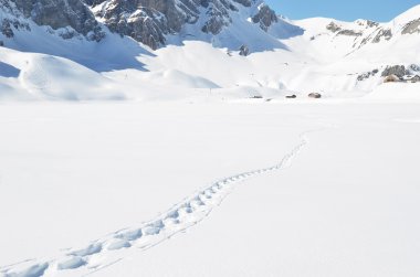 Karda ayak sesleri. melchsee-frutt, İsviçre