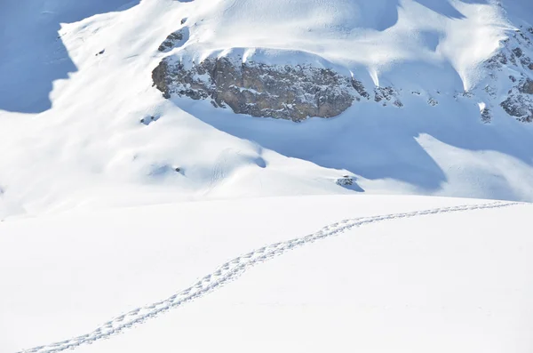 Pasos en la nieve. Melchsee-Frutt, Suiza —  Fotos de Stock