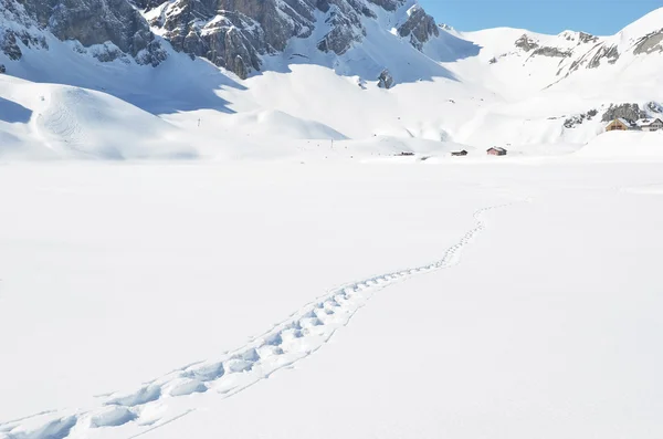 Fottrinn på snøen. Melchsee-Frutt, Sveits – stockfoto