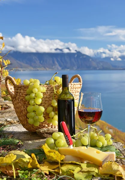 Red wine and grapes on the terrace of vineyard — Stock Photo, Image