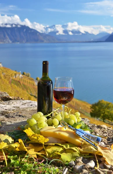 Красное вино и виноград на террасе виноградника — стоковое фото