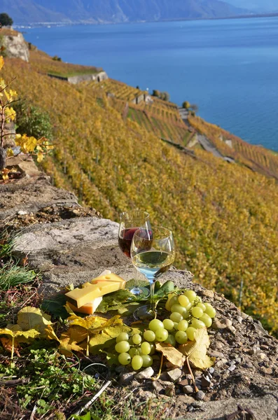 Two wineglasses, cheese and grapes on the terrace of vineyard — Stock Photo, Image
