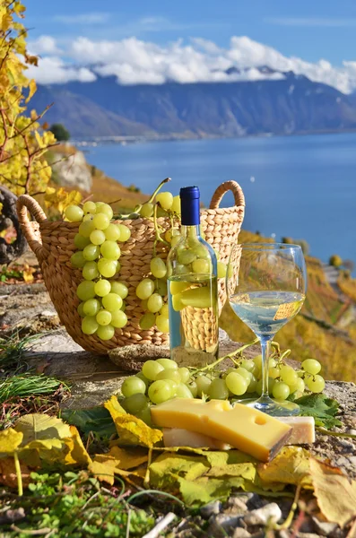 Vino blanco y canasta de uvas. Región de Lavaux, Suiza — Foto de Stock