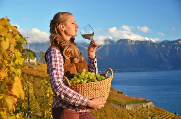 Flicka med en korg full av druvor. Lavaux regionen, Schweiz — Stockfoto