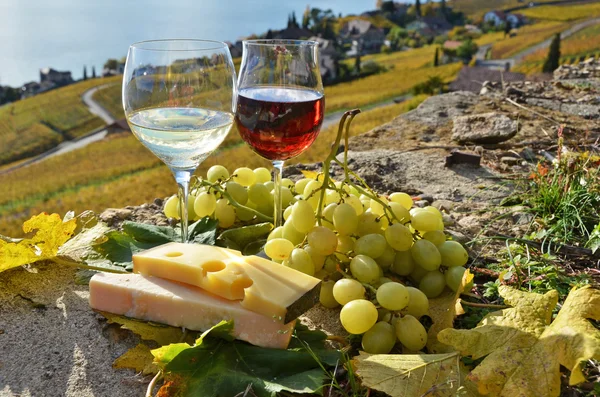 Two wineglasses, cheese and grapes on the terrace of vineyard — Stock Photo, Image