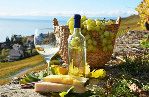 Şarap ve peynir. Lavaux bölge, İsviçre — Stok fotoğraf