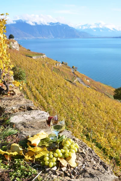 Zwei Weingläser, Käse und Trauben auf der Terasse des Weinbergs in — Stockfoto