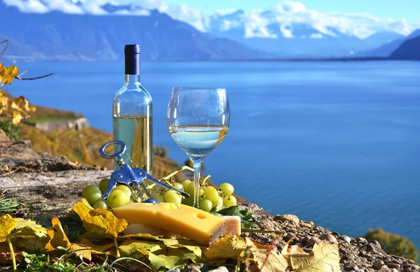 Vino y queso. Región de Lavaux, Suiza — Foto de Stock