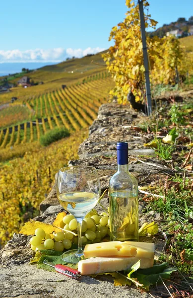 Κρασί και τυρί. περιοχή του Lavaux, Ελβετία — Φωτογραφία Αρχείου