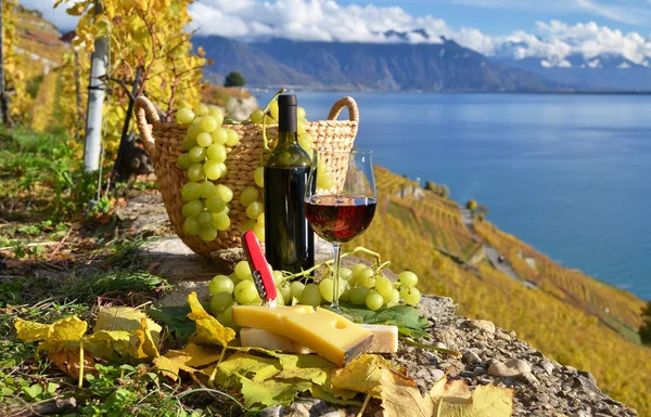 Wein und Käse. lavaux region, Schweiz — Stockfoto