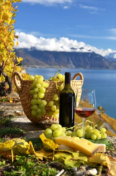 Red wine and grapes on the terrace of vineyard — Stock Photo, Image