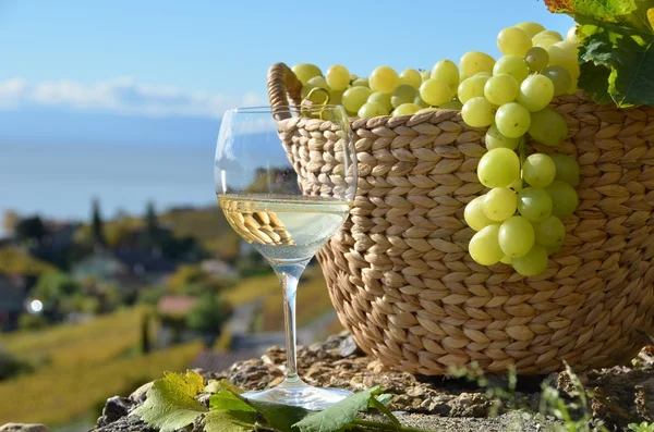 Vinho e uvas.Região de Lavaux, Suíça — Fotografia de Stock